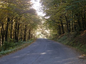 Cesta do Čeloviec, takto ju asi nepoznáte