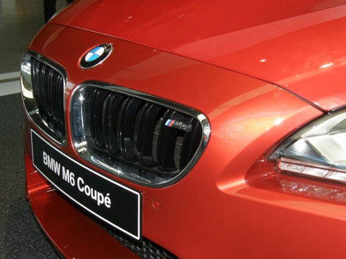 BMW - maska chladiča